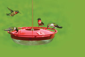 High Perch Hummingbird Feeder